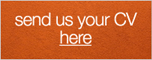 Send us your CV here
